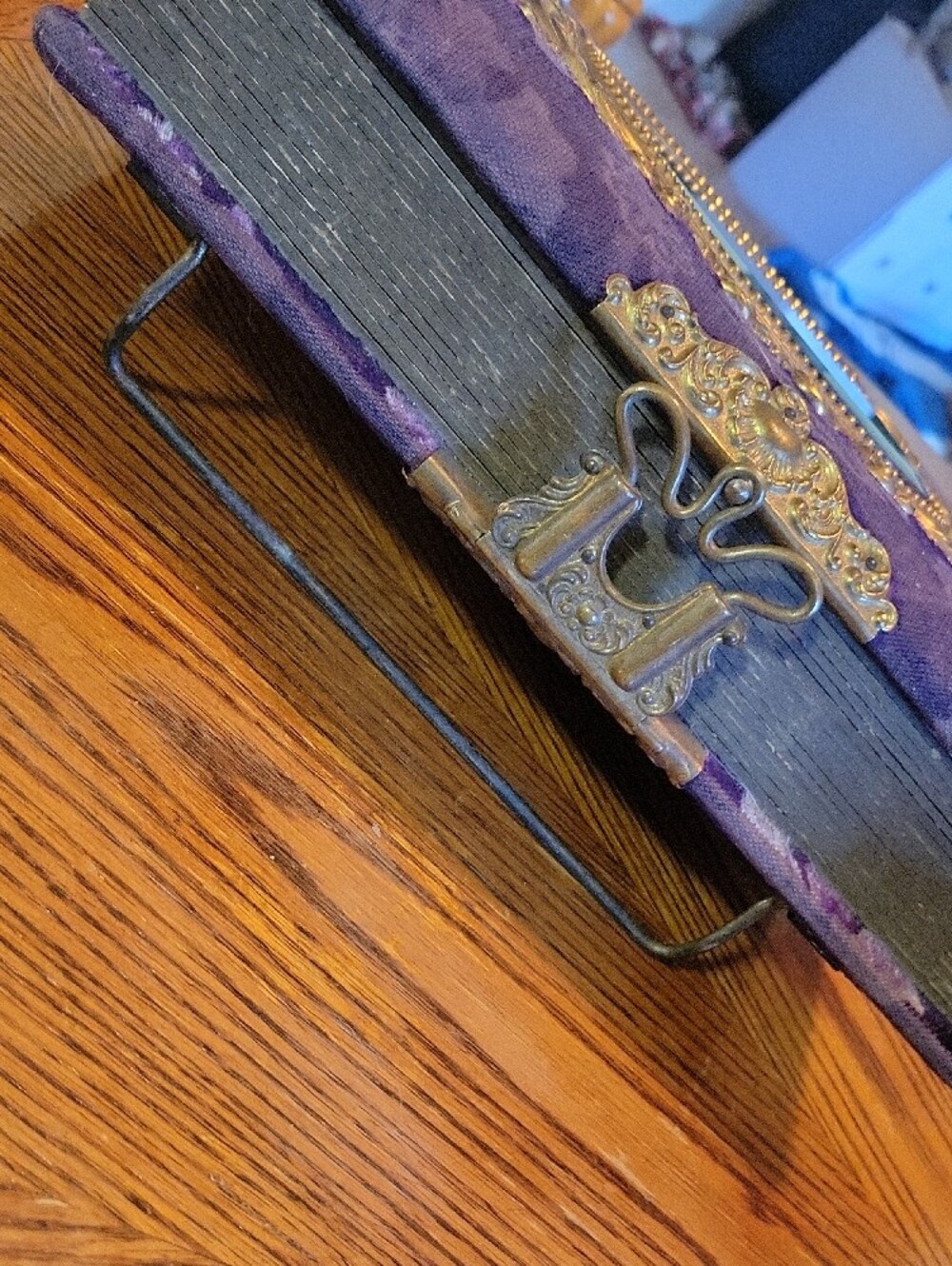 Antique Velvet Parlor Photo Album~ Velvet~ 46  Photos - Picture 5 of 12